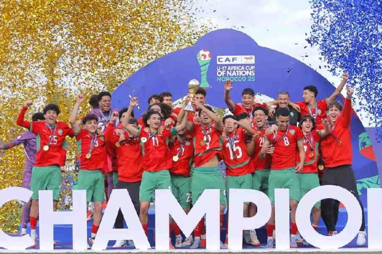 Lionceaux de l’Atlas